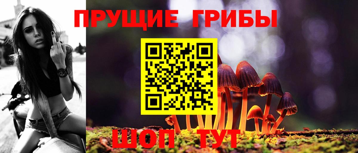Псилоцибиновые грибы Psilocybe  Вход с VPN  Борисоглебск 